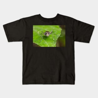 Unique and organic photo of a tiger beetle Kids T-Shirt